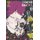 Tokyo Ghoul, Vol. 12 (Paperback): Sui Ishida