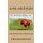 Love and Adventure in Buffalo Land (Paperback): John G. Anderson