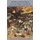 The Diary of Samuel Pepys - The Great Plague of London & The Great Fire of London, 1665-1666 (Paperback): Samuel Pepys