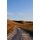 Plainsongs 41.2 - Summer 2021 (Paperback): Eric R Tucker