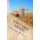 Unstable Minds (Paperback): Susanna Brown