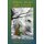 Where Flows the Creek - a Romp in the eDimension (Paperback): David Colin Carr