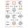 Rethinking Political Islam (Hardcover): Shadi Hamid, William McCants