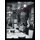 Friends of Wine - In Vino Veritas (Paperback): Michael J. Belardo