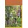 Simple Love (Paperback): Richard Dean Pyle