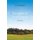 Runagates in Scarceness - A Holy Mystery (Paperback, Revised ed.): O.C. Edwards