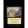 Venetian Canal - H.E. Cross cross stitch pattern (Large print, Paperback, Large type / large print edition): Kathleen George,...