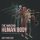 The Amazing Human Body Anatomy and Physiology (Paperback): Baby Professor