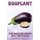 Eggplant (Paperback): Michelle Hawkins