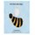 Don't Worry, BEE Happy! (Paperback): Kristen Taylor