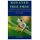 Red-Eyed Tree Frog - A Complete Pet Guide On Red-Eyed Tree Frog Breeding, Care, Feeding, Reproduction, Behavior, Diet And...