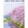 Japanese Writing Practice Book - Practice Writing Japanese Alphabet Kanji Characters Kana Scripts Hiragana Katakana Technique...