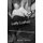 Lady Lushes - Gender, Alcoholism, and Medicine in Modern America (Paperback): Michelle L McClellan