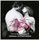 Original Cast - Dirty Dancing CD (2008) (CD): Original Cast