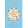The Baylot Manuscript in Translation (Hardcover): Sar Phosphoros