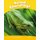 Level 6: Animal Camouflage CLIL AmE (Paperback): Caroline Laidlaw