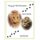 Tony & The Princess - Irene Marie (Paperback): Richard Irving Nordahl, Carolyn Lockwood Nordahl