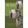 Tree People (Paperback): Sandra Jones Ozment