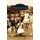 Overton Park (Hardcover): William Bearden