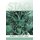 Stag (Hardcover): Robert Stanley Hall