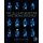 The Cellular Secretome and Organ Crosstalk (Paperback): Jurgen Eckel