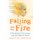 Falling into the Fire - A Psychiatrist's Encounters with the Mind in Crisis (Paperback): Christine Montross