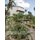 Quinta Mazatlan - A Visual Journey (Paperback): Pino Shah, Eileen Mattei