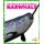 Narwhals (Paperback): Mari C. Schuh