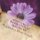 Spiritually Inspirational Quotes VII - Love, Peace, and Happiness (Paperback): Rajendra Man Singh