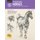 Drawing: Horses - Learn to draw step by step (Paperback, Revised Edition): Walter Foster