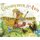 The Grasshopper & the Ants (Hardcover): Jerry Pinkney