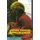 Cutting Through Appearances - Practice and Theory of Tibetan Buddhism (Paperback, 2): Geshe Lhundup Sopa, Jeffrey Hopkins