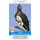 Kitsgids: Voels van die Laeveld (Afrikaans, Paperback): Saartjie Kidson, Herman van Niekerk