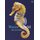 Water World (Paperback): Ben Rothery