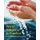 World Religions in Practice - A Comparative Introduction (Hardcover): P. Gwynne