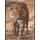 USTAD Master of Ranthambhore - the untold story (Paperback): Nita Smith