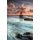 The Day of The Mermaid And Other Poems (Paperback): Michael Healy