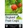 Postharvest Management of Dryland Fruit Crops (Hardcover): J K Dhemre