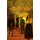 Wiccamere Wake (Paperback): Mystery Writer Mark Edward Thomas Piotrowski