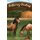 Gathering Goodness - Faith, Family, Friends & Horses (Hardcover): Linda Amick Algire