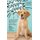 Good Dogs (Paperback): Becca Anderson
