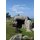 Isles of the Dead? - The setting and function of the Bronze Age chambered cairns and cists of the Isles of Scilly (Paperback):...