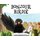 Bonjour Birdie (Hardcover): Ainsley Allen