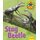 Wildlife Watchers: Stag Beetle 2017 (Paperback): Ruth Owen