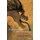Mentalizing in Arts Therapies (Paperback): Marianne Verfaille