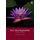 East Asian Regionalism (Paperback, 2nd edition): Christopher M Dent