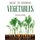 Guide to Growing Vegetables - For Beginners (Paperback): Lillian B Roney