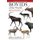 Bovids of the World - Antilopes, gazelas, toros, cabras, ovejas y otras especies (Spanish Edition) (Spanish, Paperback, PRHSA...