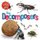 The Insects that Run Our World: The Decomposers (Paperback): Sarah Ridley