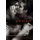 Twice the Pleasure - Bisexual Women's Erotica (Paperback): Rachel Kramer Bussel